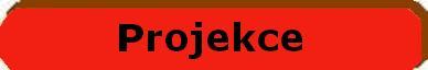 Projekce